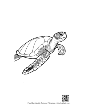 Thumbnail: Detailed Green Sea Turtle Line Art