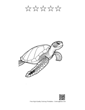 Thumbnail: Detailed Green Sea Turtle Line Art Printable and 5 Star Outline