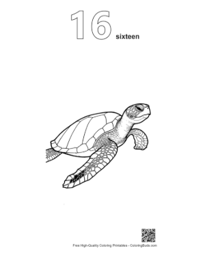 Thumbnail: Detailed Green Sea Turtle Line Art Printable Outline Number 16