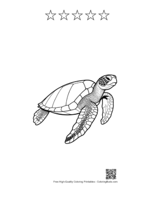 Thumbnail: Graceful Green Sea Turtle Line Art Printable and 5 Star Outline