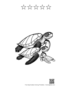 Thumbnail: Green Sea Turtle Family Line Art Printable and 5 Star Outline