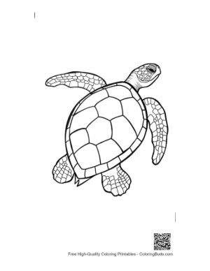 Thumbnail: Green Sea Turtle Line Art