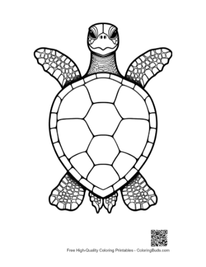 Thumbnail: Green Sea Turtle Line Art