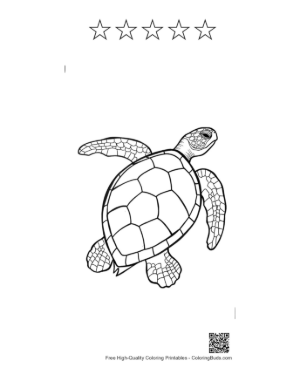 Thumbnail: Green Sea Turtle Line Art Printable and 5 Star Outline