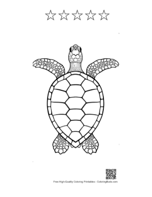 Thumbnail: Green Sea Turtle Outline Printable and 5 Star Outline
