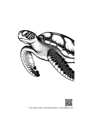 Thumbnail: Green Sea Turtle Swimming Gracefully