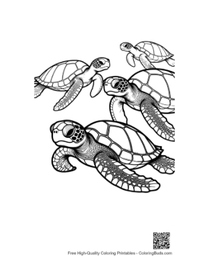 Thumbnail: Group of Baby Sea Turtles Swimming