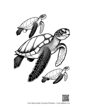Thumbnail: Playful Green Sea Turtle Family Swimming
