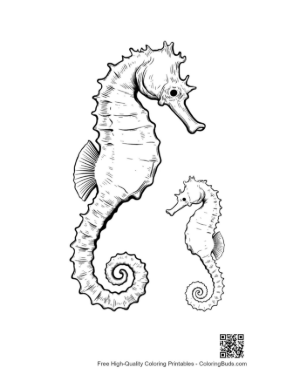 Thumbnail: Mother Seahorse and Baby in Coral