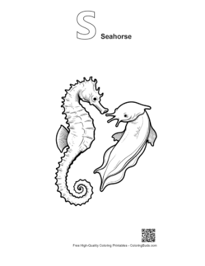 Thumbnail: Seahorse and Dolphin Line Art Duo Printable Outline Alphabet S Seahorse