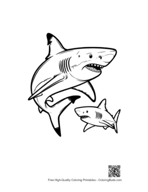 Thumbnail: Fierce Great White Shark and Baby Leaping