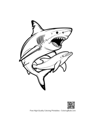 Thumbnail: Fierce Great White Shark Chasing Dolphin