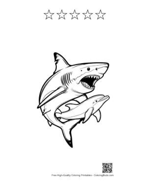 Thumbnail: Fierce Great White Shark Chasing Dolphin Printable and 5 Star Outline