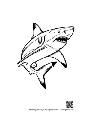 Thumbnail: Fierce Great White Shark Leaping