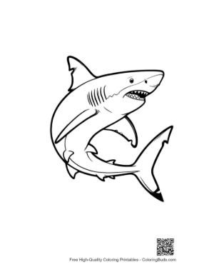 Thumbnail: Fierce Great White Shark Outline