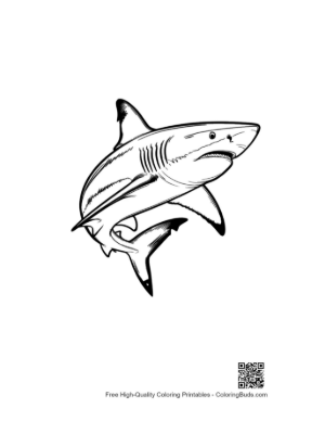 Thumbnail: Great White Shark Leaping Ferociously