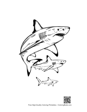 Thumbnail: Great White Sharks Leaping in Bold Line Art