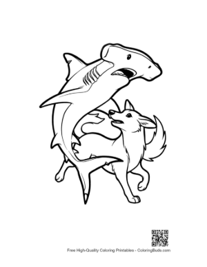 Thumbnail: Hammerhead Shark Chasing Playful Fox