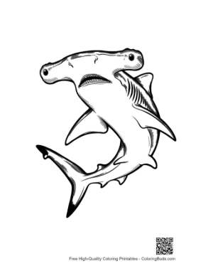 Thumbnail: Hammerhead Shark Line Art