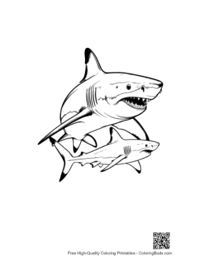 Thumbnail: Mother Great White Shark and Baby