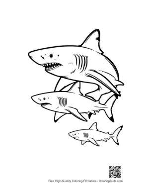 Thumbnail: Playful Great White Sharks Leaping in Stack
