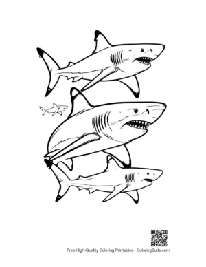 Thumbnail: Playful Great White Sharks Outline Pack