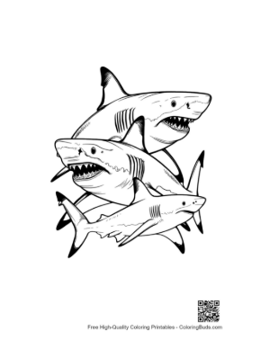 Thumbnail: Playful Great White Sharks Stack