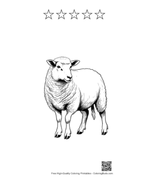 Thumbnail: Fluffy Woolly Sheep Illustration Printable and 5 Star Outline