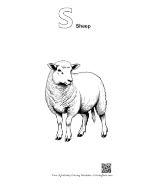 Thumbnail: Fluffy Woolly Sheep Illustration Printable Outline Alphabet S Sheep