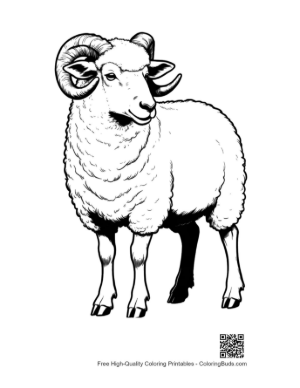 Thumbnail: Woolly Ram Illustration