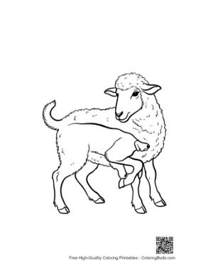 Thumbnail: Woolly Sheep Standing Gracefully