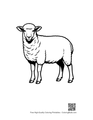 Thumbnail: Woolly Sheep Standing Proudly
