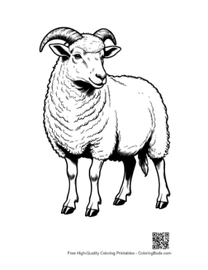 Thumbnail: Woolly Sheep Standing Proudly
