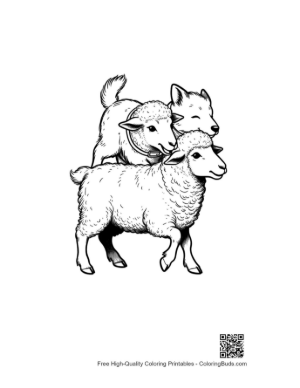 Thumbnail: Woolly Sheep with Playful Wolf Companion