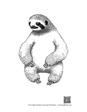 Thumbnail: Chill Three-Toed Sloth Sketch