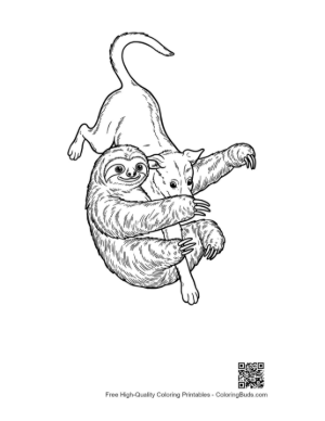 Thumbnail: Three-Toed Sloth Hugging Playful Dog