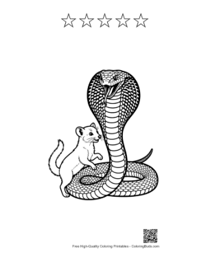 Thumbnail: Cobra and Ferret Companions Printable and 5 Star Outline