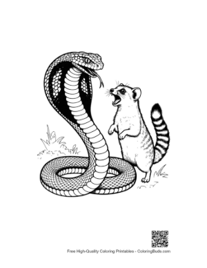 Thumbnail: Cobra Confronting Brave Mongoose