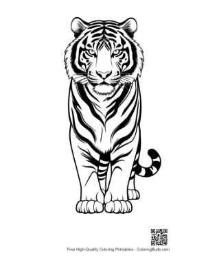 Thumbnail: Majestic Siberian Tiger Line Art