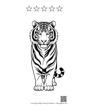 Thumbnail: Majestic Siberian Tiger Line Art Printable and 5 Star Outline