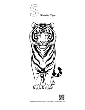 Thumbnail: Majestic Siberian Tiger Line Art Printable Outline Alphabet S Siberian Tiger