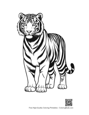 Thumbnail: Majestic White Tiger Outline