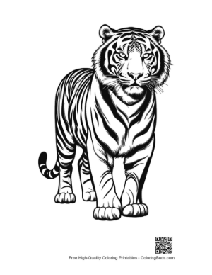 Thumbnail: Majestic White Tiger Stands Boldly