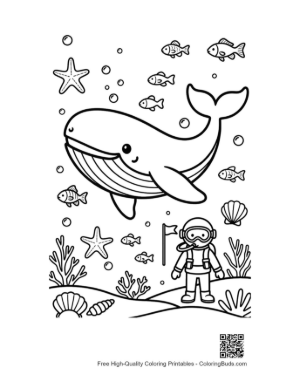 Thumbnail: Blue Whale Encountering an Underwater Diver Printable