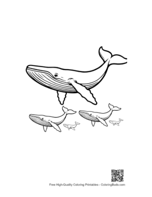 Thumbnail: Blue Whale Family Line Art Illustration