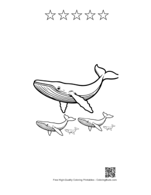 Thumbnail: Blue Whale Family Line Art Illustration Printable and 5 Star Outline