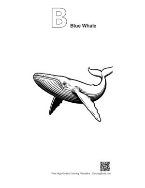Thumbnail: Blue Whale Line Art Illustration Printable Outline Alphabet B Blue Whale