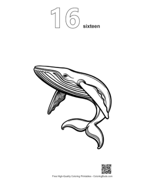 Thumbnail: Leaping Blue Whale Line Art Printable Outline Number 16