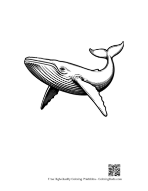 Thumbnail: Majestic Blue Whale in Flight