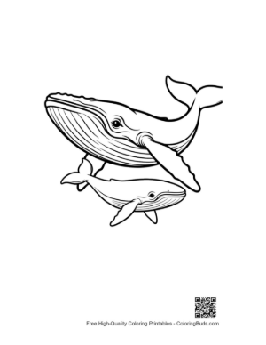 Thumbnail: Mother Blue Whale and Calf Swimming Gracefully